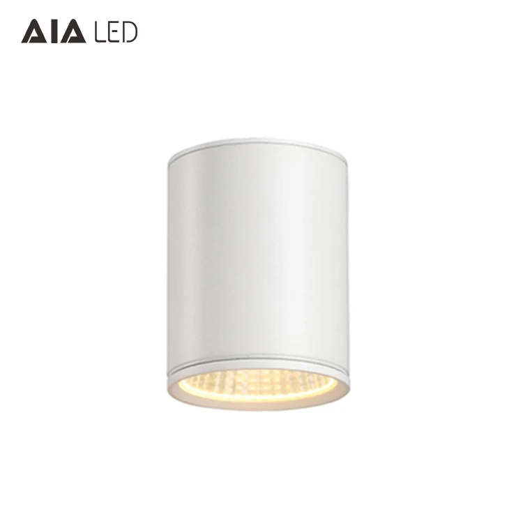Cylinder-shaped 30W IP65 waterproof dimmable down lighting surface mounted downlight for high-grade hotel projects