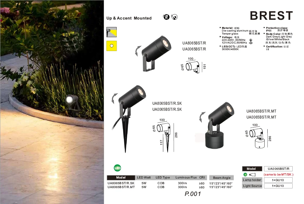 paste-pic-dp_uuid_z2fbd