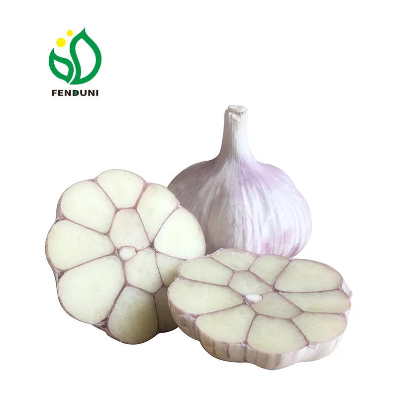 2024 New Crop Grade 1 Normal White/Pure White Garlic with Mesh Bag Fresh Garlic From China Factory Direct Supplier