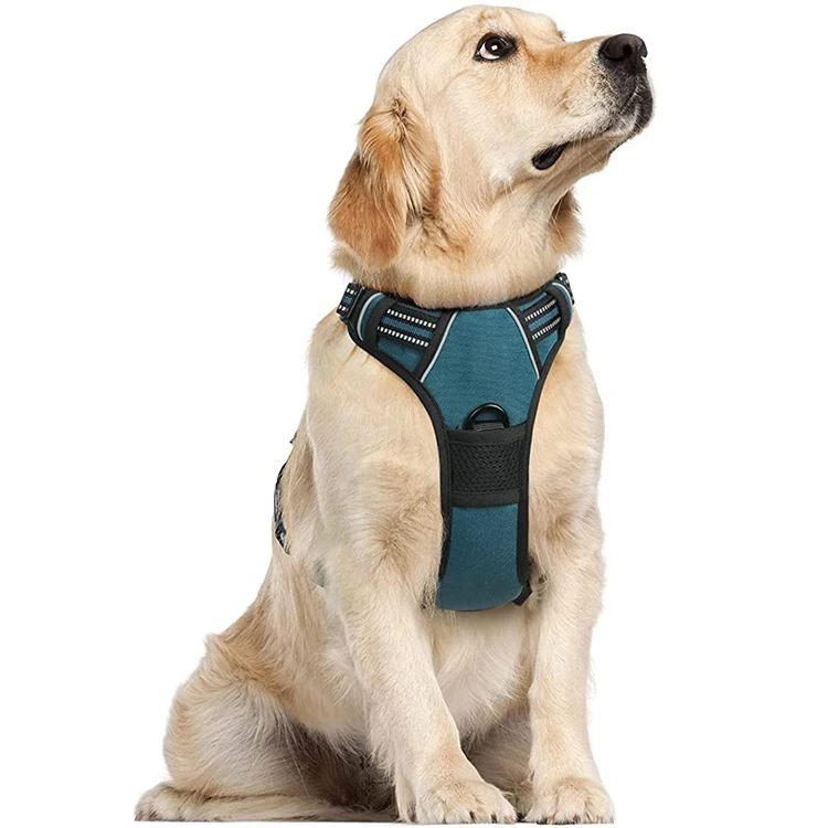 Amazon Best Seller Body Small Mesh Fashion Dog Pet Harness for Dog