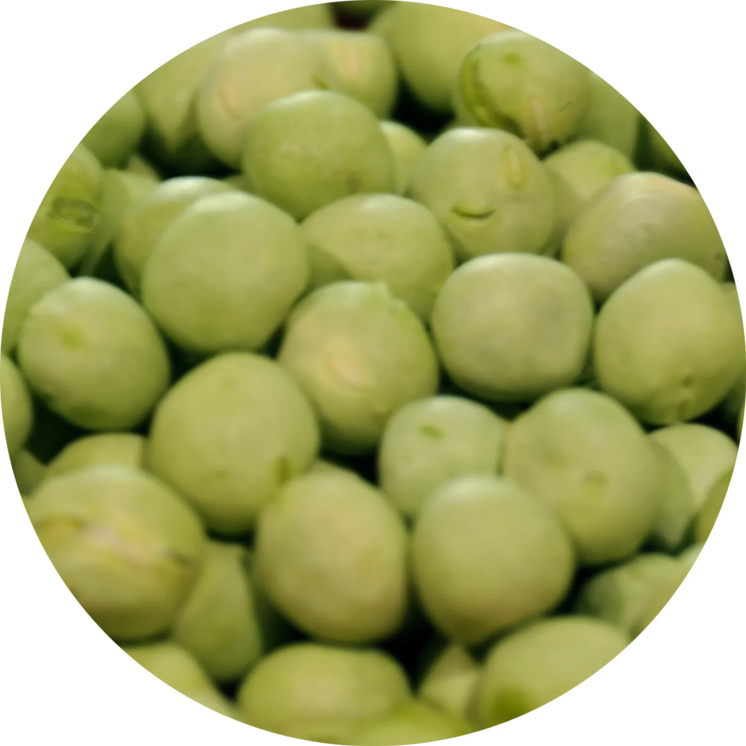 Здоровое детское питание, пищевая упаковка, оптовая продажа, замороженные сухие продукты, замороженные овощи, замороженный зеленый горох