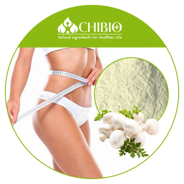Aspergillus Niger Chitosan Powder of natural origin for weight maintenance