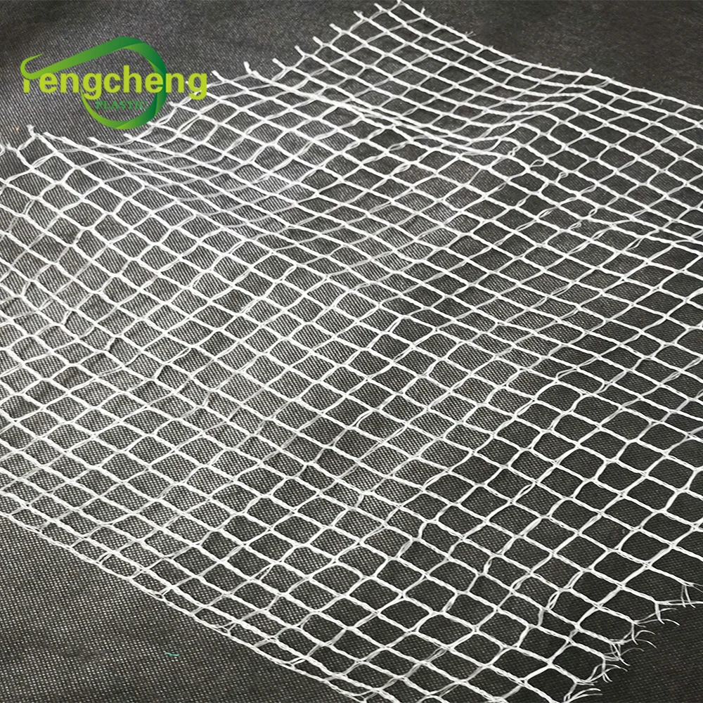 China Factory Fishing Pool Used Black HDPE Bird Net with Low Cost