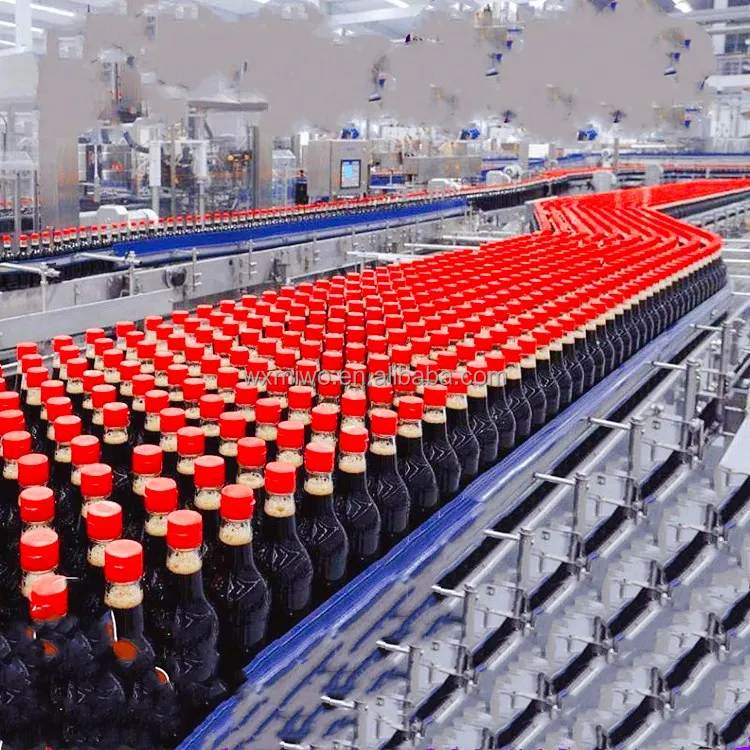 chain conveyor (8).jpg