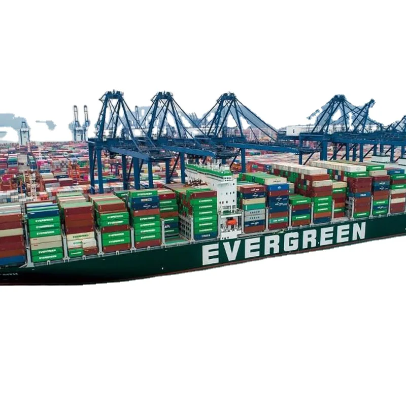 Freight forwarding from China sea freight to USA ddu ddp service international logistics shipping companies