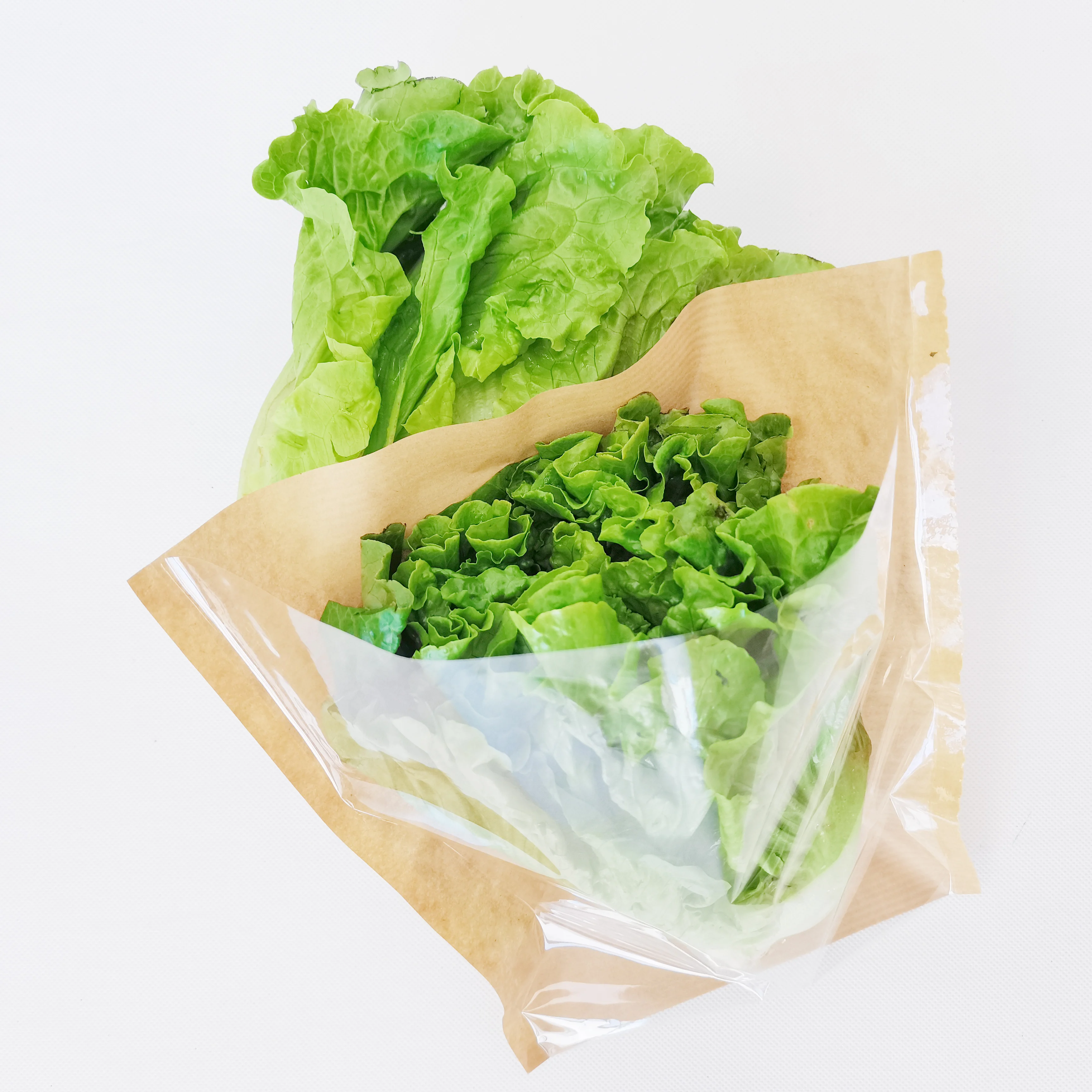 Fresh and Organic Hydroponic Lettuce for Packaging Hydroponic Farming at Its Finest Sleeves