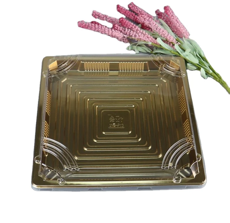 
Hot Sell Divided Food Sushi Packaging Trays Container Box 