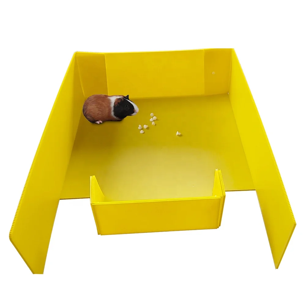 Custom Folding Pet Products Corrugated Coroplast Guinea Pig Pet House