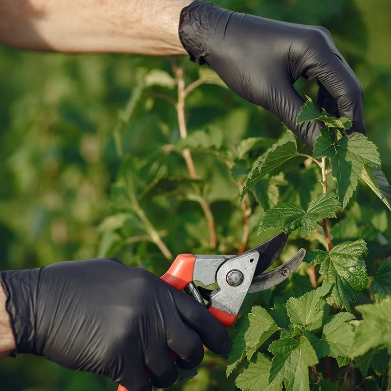 Non Latex PVC Gloves 100 PCS Box Protective Hand Gloves Anti Chemical Black Powder Free Disposable Vinyl Gloves for Gardening