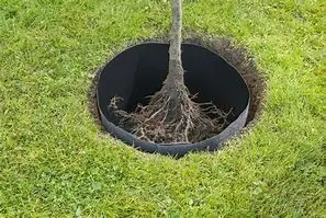 1m width 2mm thickness Black HDPE Geomembrane used for Tree Root Barrier