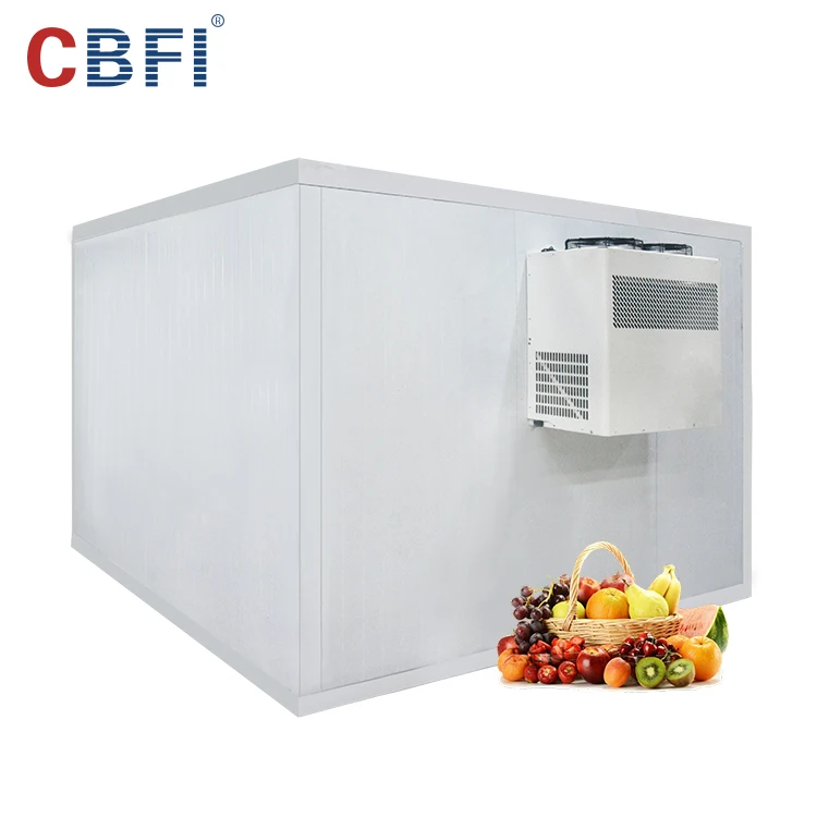 Low Price High Quality Frozen Cold Room/Cold Storage For Meat And Fish