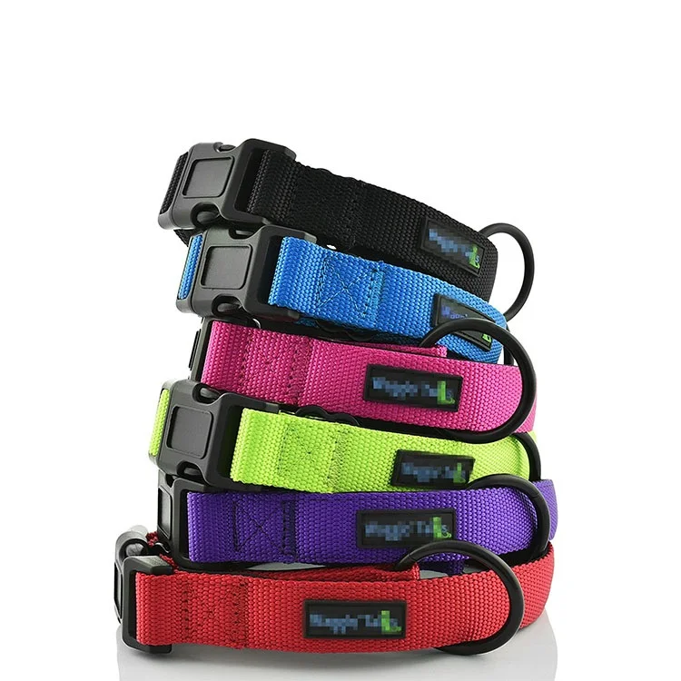 Pet accessories dog collars neoprene padded nylon collar for dogs training