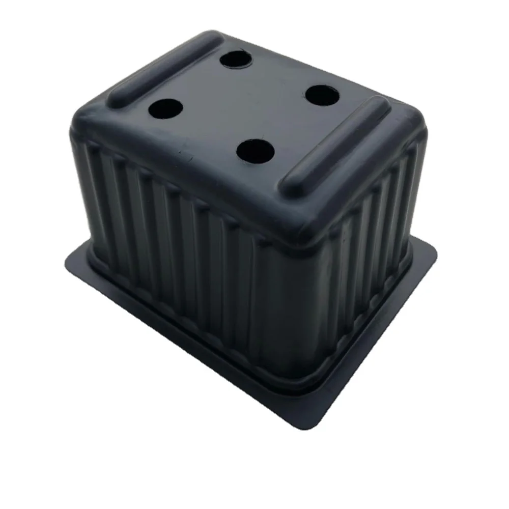 Succulent Microgreen Plant Growing disposable  Plastic Tray Box