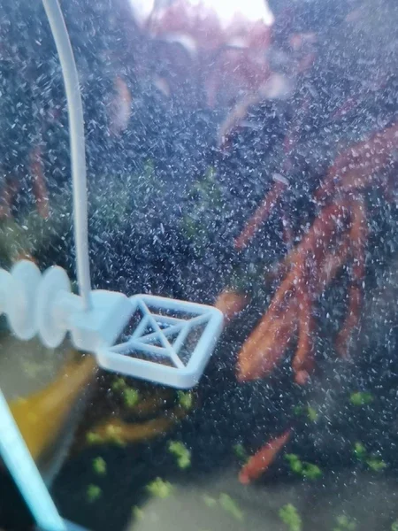 Aquascape Electronic Algae Inhibitor Electronic Algae Remover