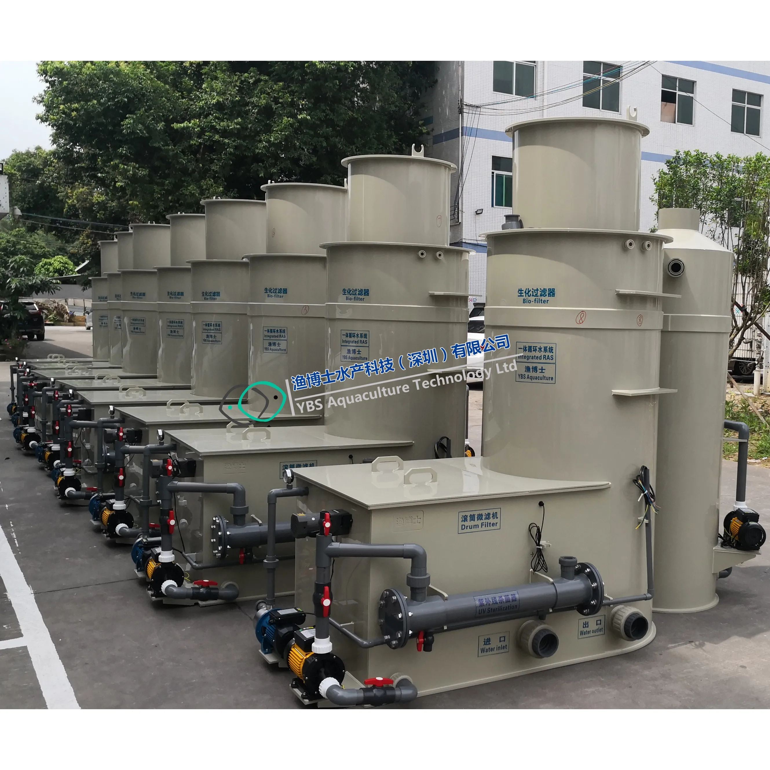 Sea bass nursery culture indoor/landbase  recirculating aquaculture system