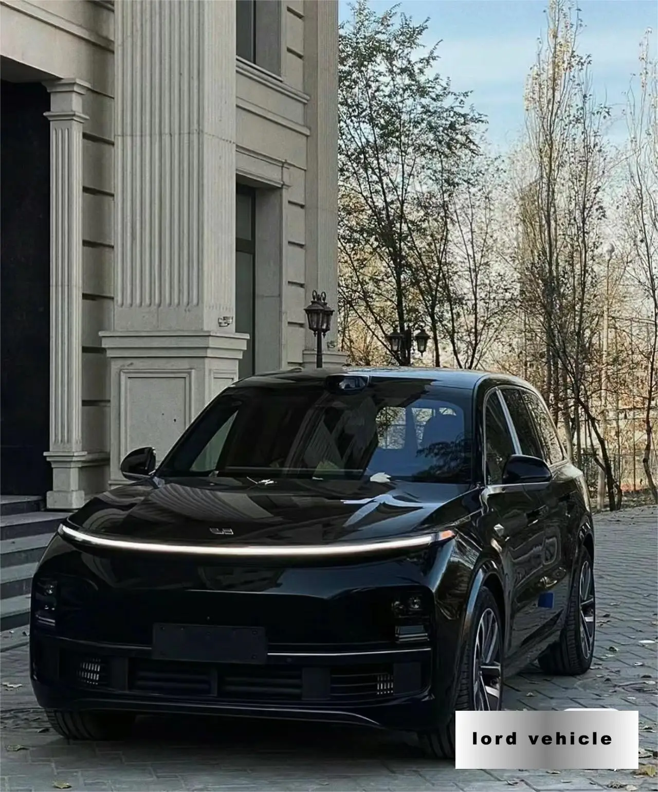 New Energy Vehicles Li Auto L9 li 9 Brand New Cars Max Pro Ultra 2023 2024 Hybrid Cars SUV Extend Range Long Range Lixiang L9