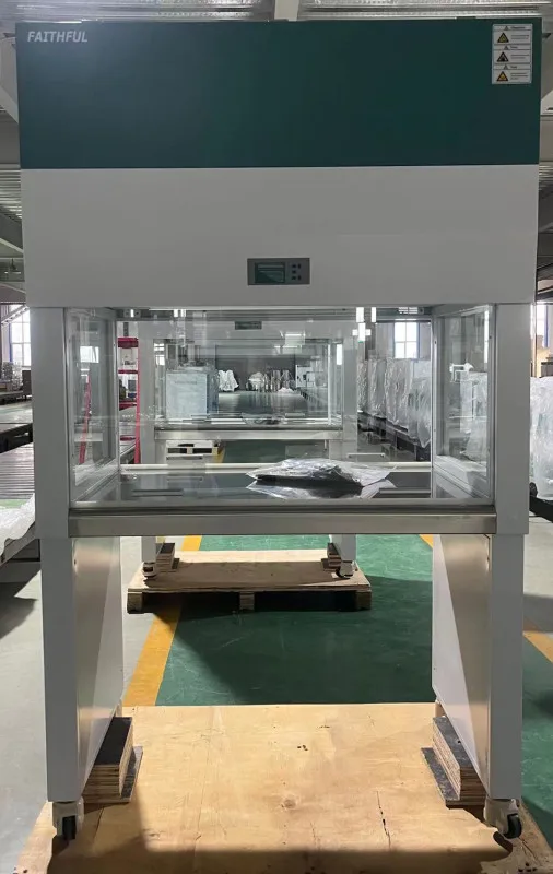 Laboratory Vertical Type Laminar flow cabinet and fume hood