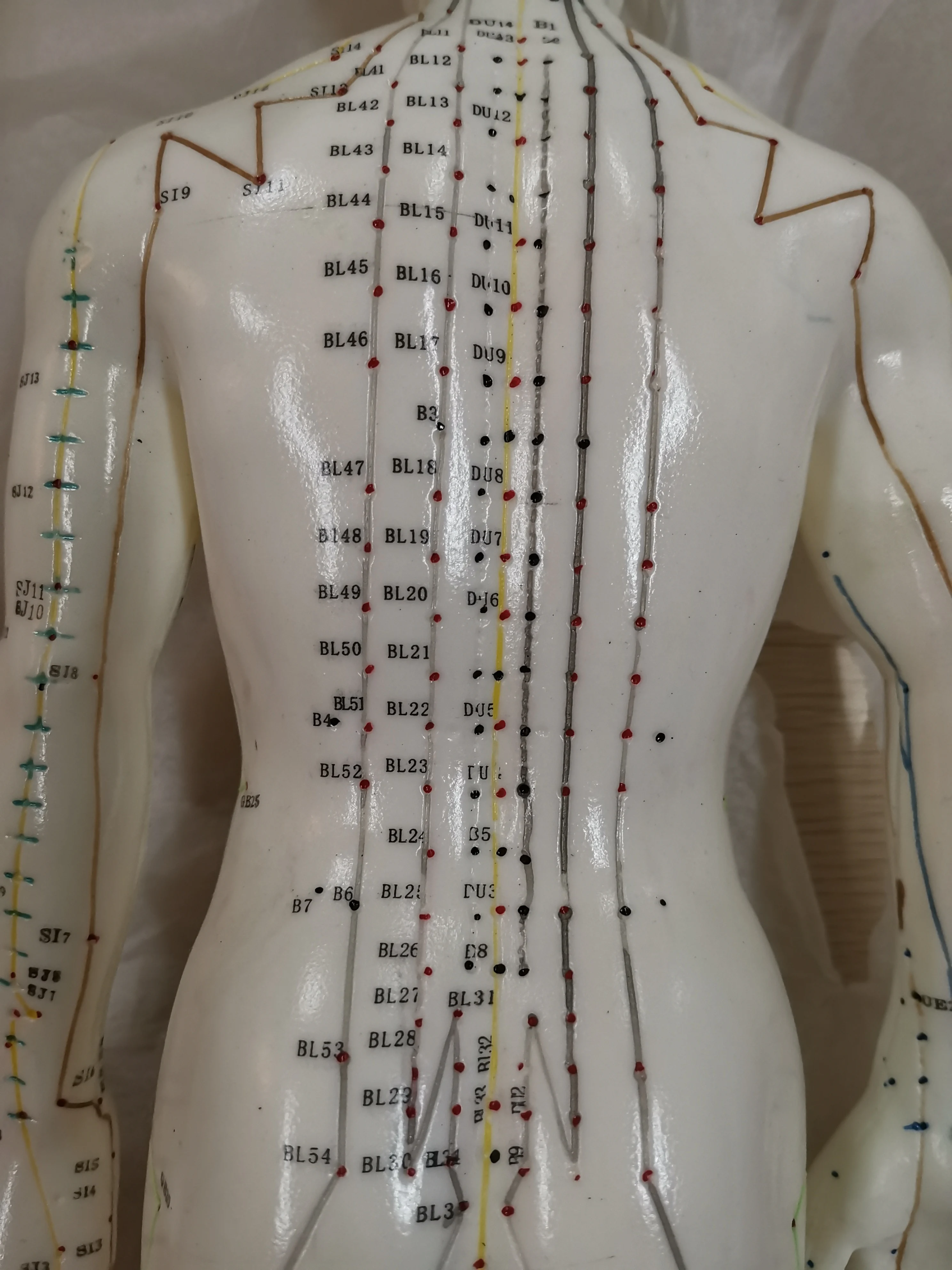 Top Quality 70CM Male Human Body Acupuncture Points Model Meridians Model Teaching Model English User Manual