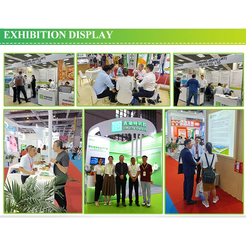 Gelatin China Gelatin Manufacturer Used in Food Industry