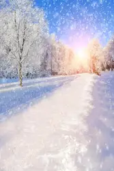 Wholesale Christmas Photography Backdrop Photo Xmas Snow Tree Scene Background Prop