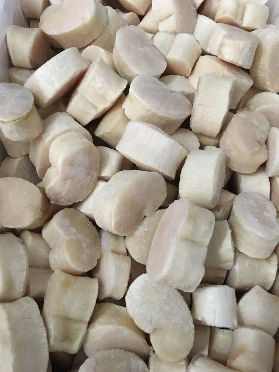 best seafood and dried scallop