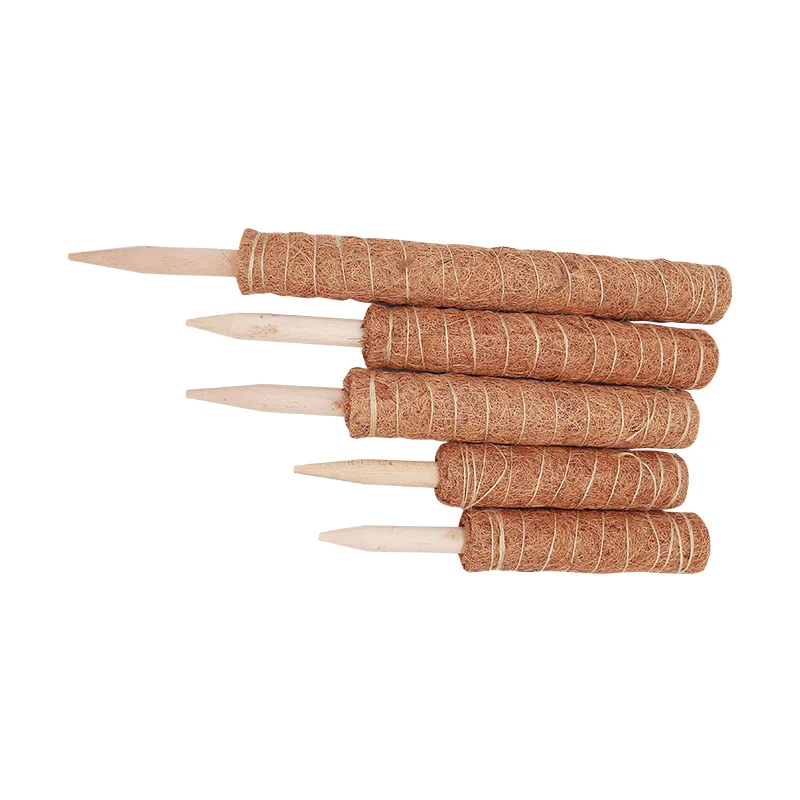 tension pole 30 40 50 cm green rose stick coconut palm stick plants climbing frame factory direct sale