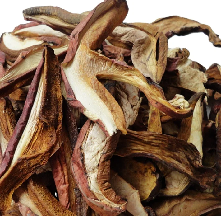 
Wild dried Boletus speciosus Frost mushrooms Boletus queletiischulz for food 