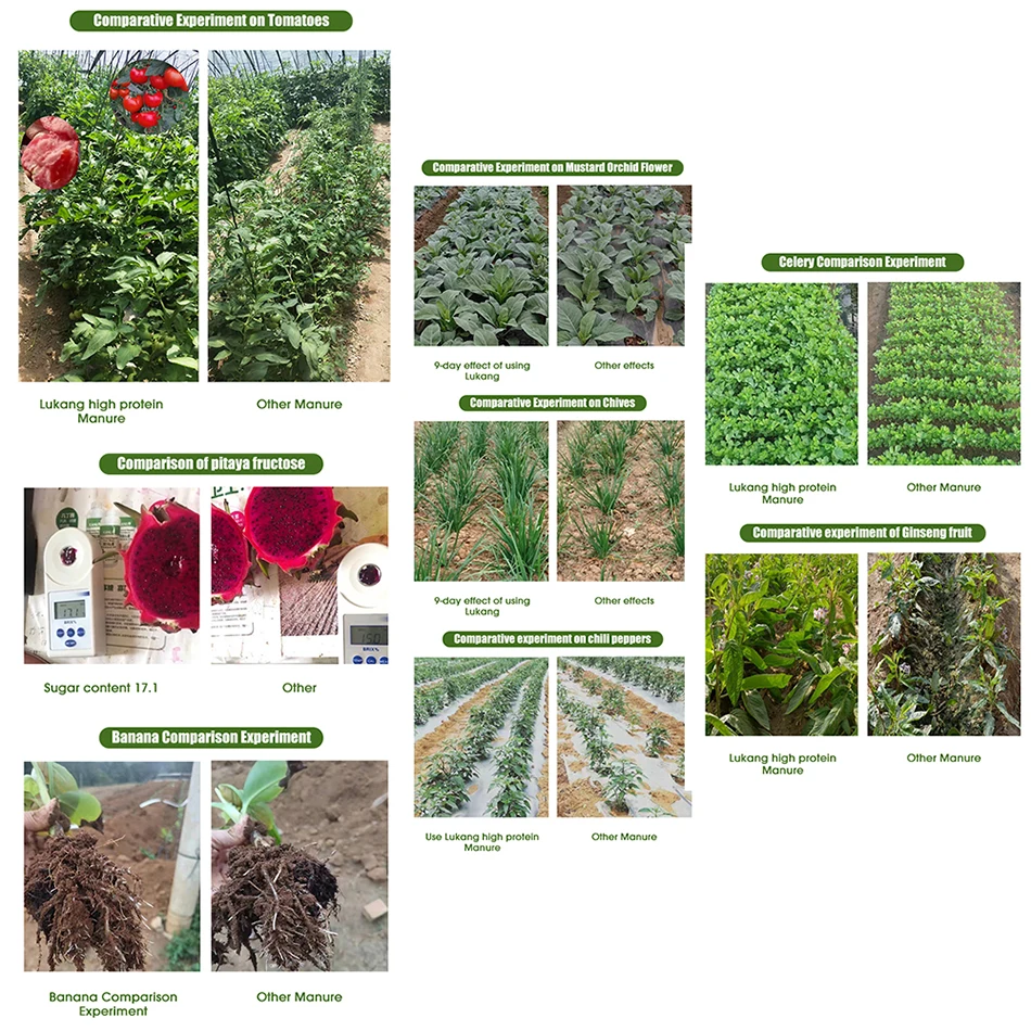 Minerals Npk Iron Zinc Magnesium Calcium Chelated Trace Element Amino Acid Organic Fertilizer