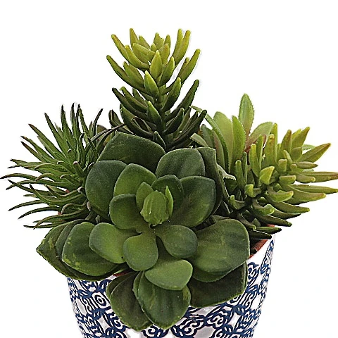 New Design Custom Mini Bonsai Faux Succulent Artificial Plant Potted  Decorative Garden Home Desktop Decoration