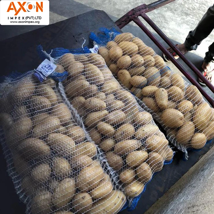 
New Crop Fresh Potato for Bangladesh Market/ Mozika Potato/Potato Mesh bag 