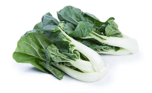 
harvester improve seedlings pakchoy Chinese vegetable cabbage seeds 1kg/bag 