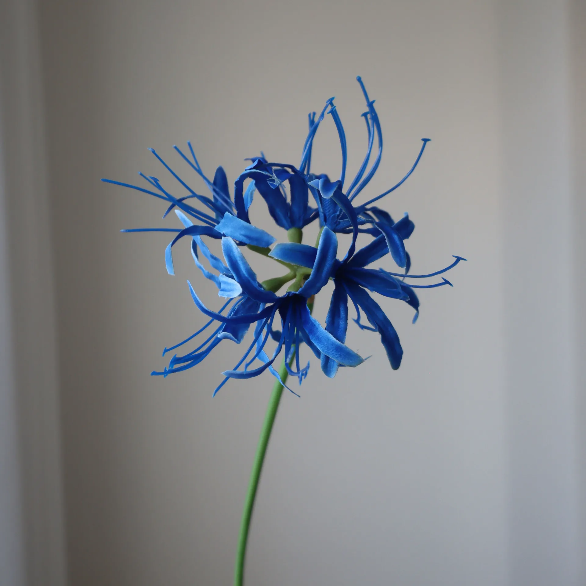Artificial Red Spider Lily Flower Lycoris Herb Amaryllis for Wedding Christmas Graduation Halloween Decoration Manjusaka Flower