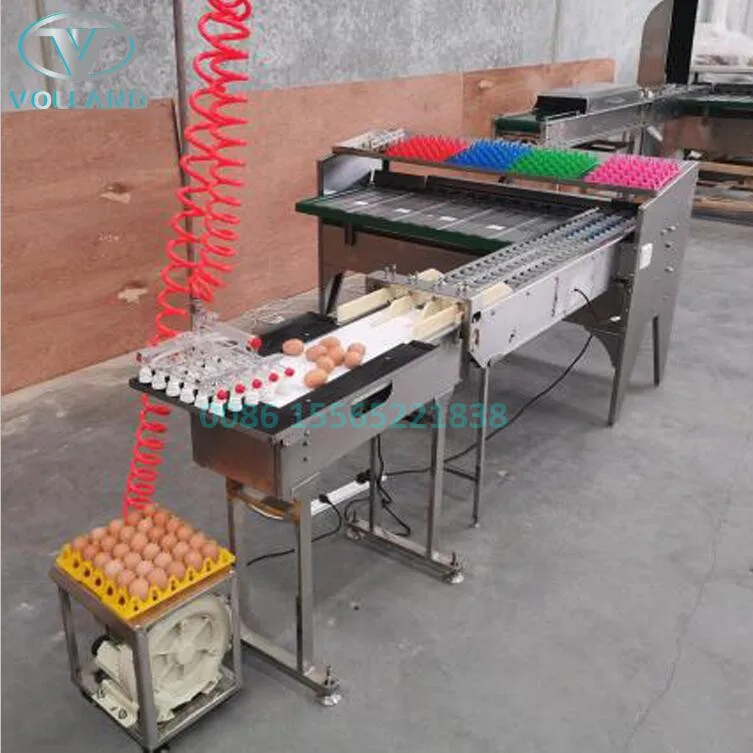 newest egg weight grader/egg classifier machine with vacuum egg suction device and accumulator