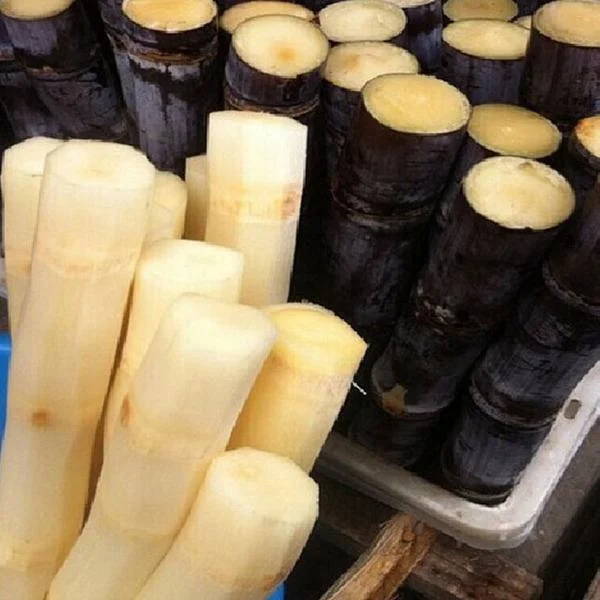  Натуральный Порошок Экстракта сахарного тростника меласы сахар лекарственный тростниковый порошок