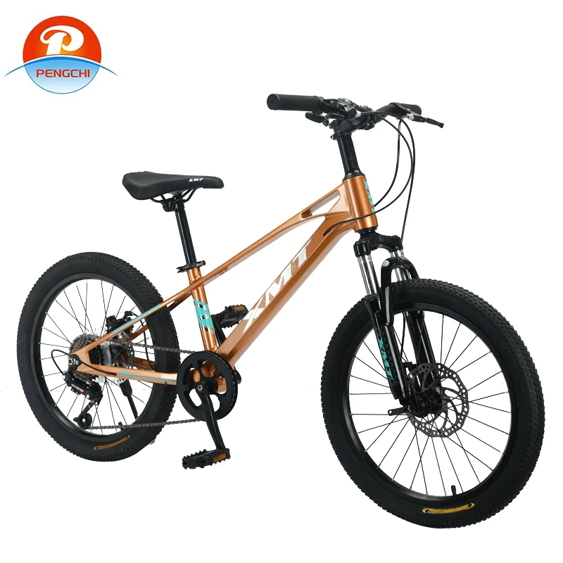 Детские дисковые тормоза MTB хорошо продаются на 20-дюймовых 7-ступенчатых детских горных велосипедах уличных циклах OEM и фабриках