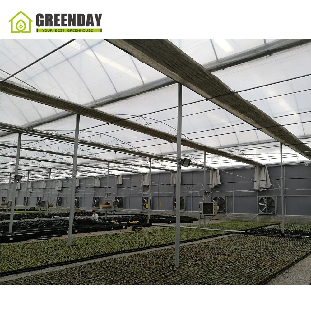 
GREENDAY Low cost galvanized steel pipe used greenhouse polytunnel greenhouse for plant growth 