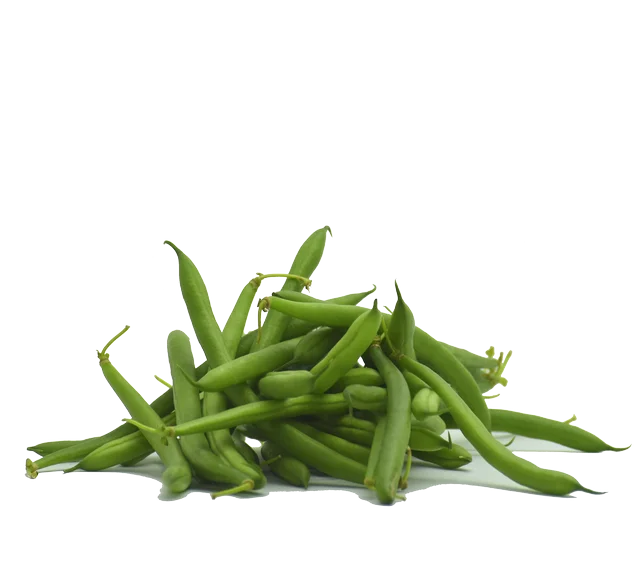
Свежие органические зеленые бобы 
