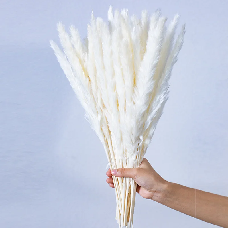 Natural Dried Pampas Grass Small Artificial Flower for Wedding decoration and home Festival Bouquet arrangement Fluffy Reed