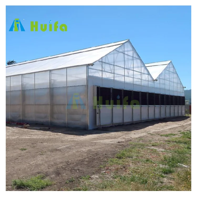 PC Sheet Frame Green House Plant Growing Commercial Greenhouse Kit House Hot Sale