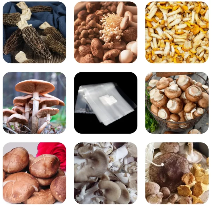 Autoclavable 20*12*50CM 0.2micron filter mushroom grow bags spawn cultivation bags oyster mushroom fruiting bags