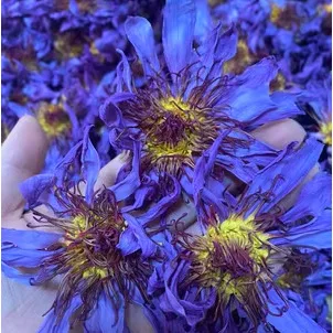 100 g a per one bag sample link in Bulk Nymphaea tetragona wholesale Nymphaea L.Blooming Tea water lily Dried Blue Lotus Flowers