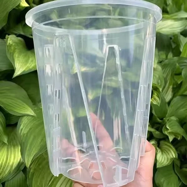 garden supplies wholesale price cheap pp transparent orchid planter clear plastic pots for plants