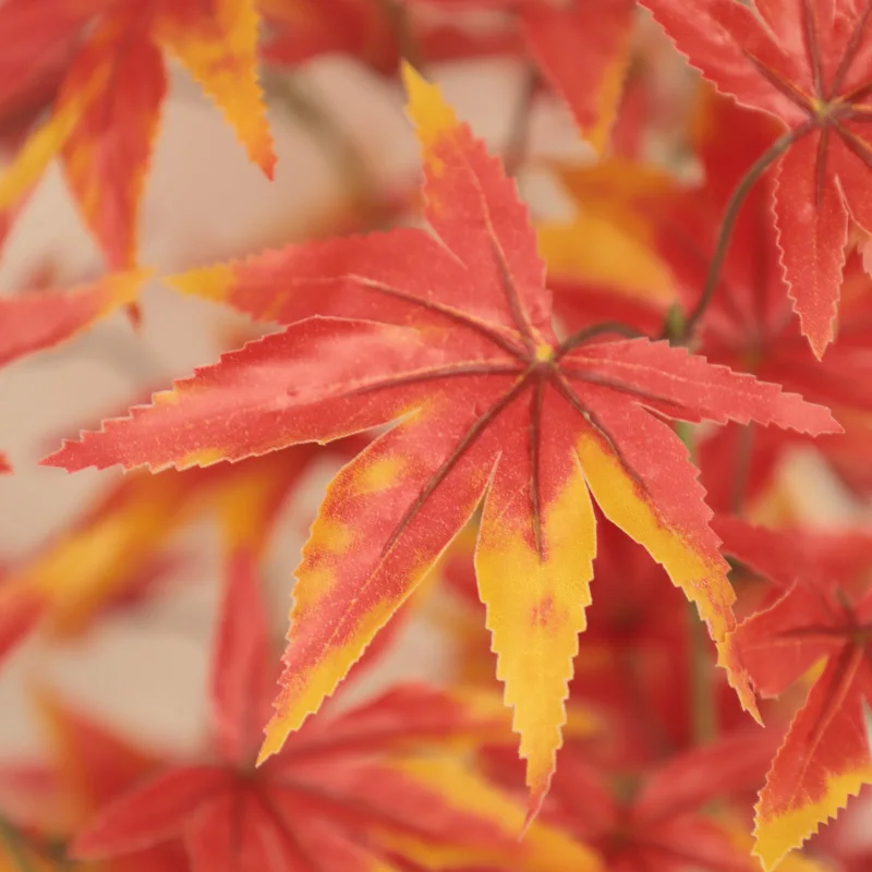 2024 Longstar Wholesale 30/35/44 inch Artificial Plant Orange Maple Tree Maple Leaf Acer Palmatum Livingroom Decor