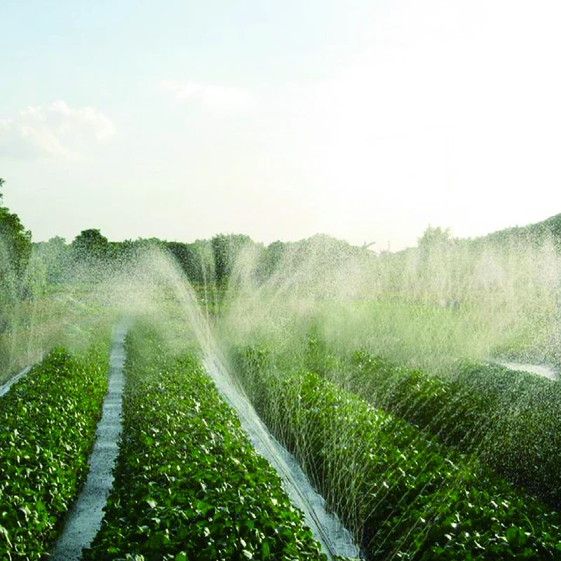 Agriculture Irrigation Pipe Rain Pipe Rain Hose Micro Spray Tube