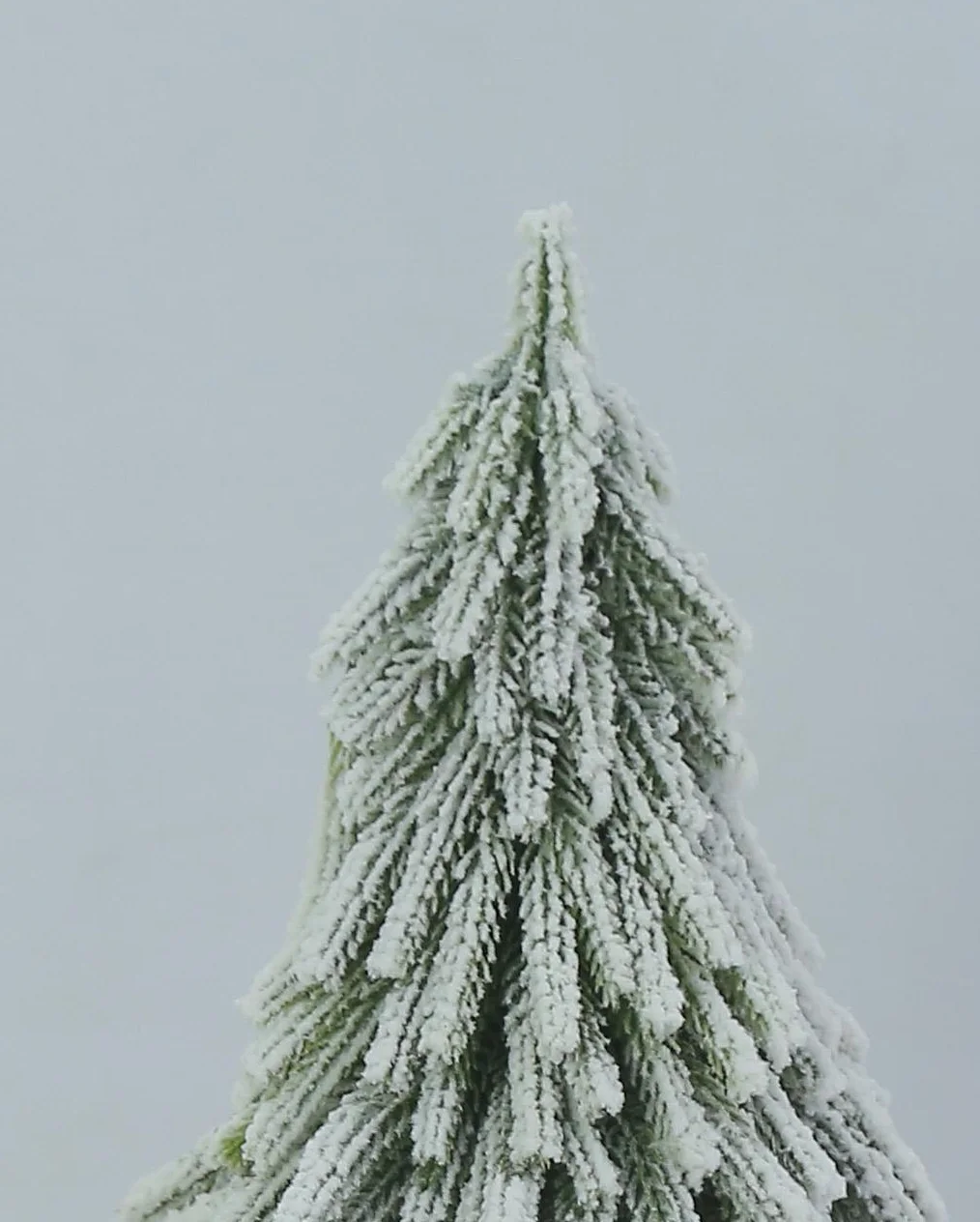 2024  Christmas Small Tree Ornament diy Christmas Decoration Bent Imitation Christmas Tree Potted Plant Ornament