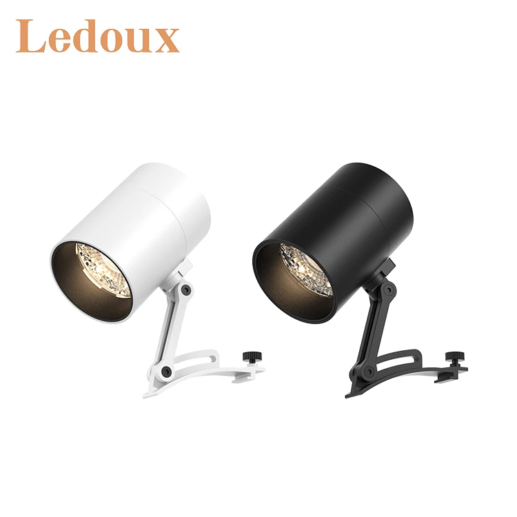 LEDOUX Top Design Aluminum Surface Mounted Dimmable Gallery Indoor Down Light 2 10 15 20 30 W Led Track Light