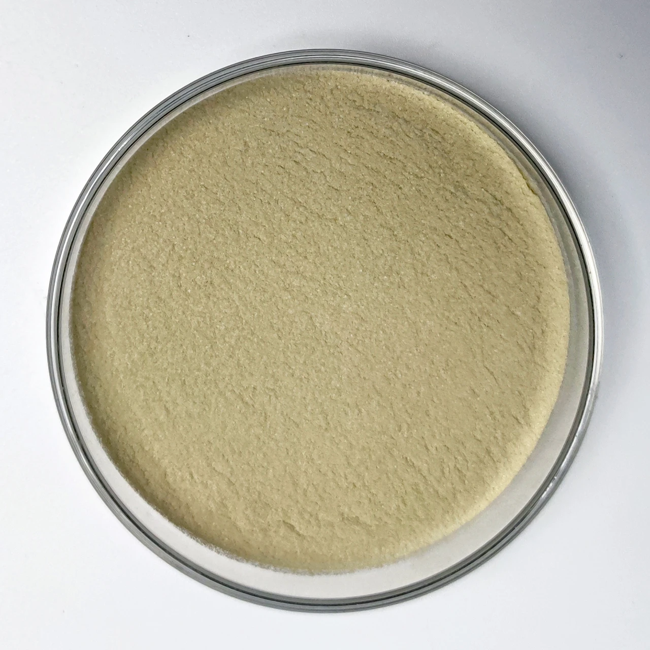 Super Quality Improve Intestinal Health Dogs Probiotic Chews Probiotics For Dogs