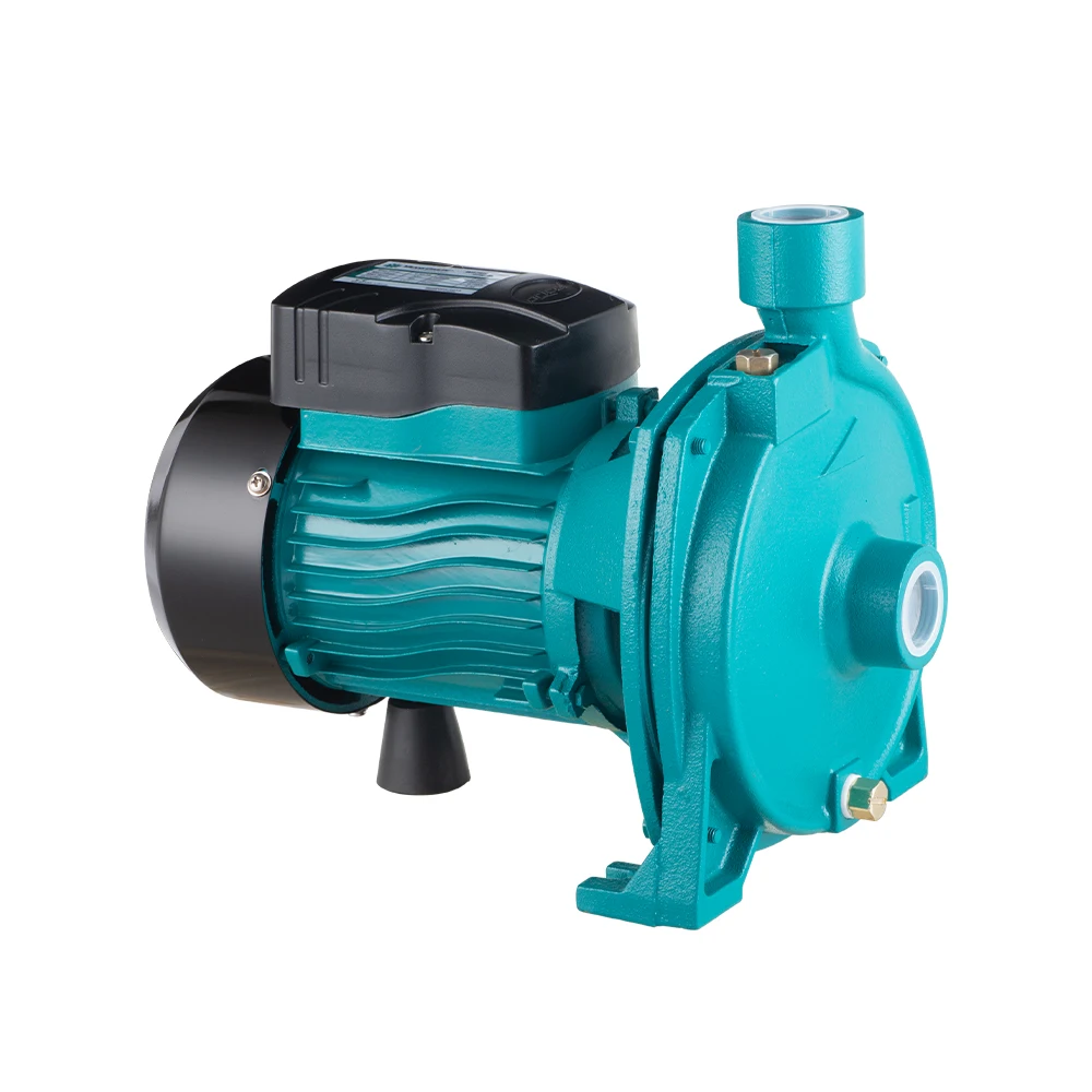 Agricultural AC 1Hp Inline Single Phase Centrifugal Water Pump