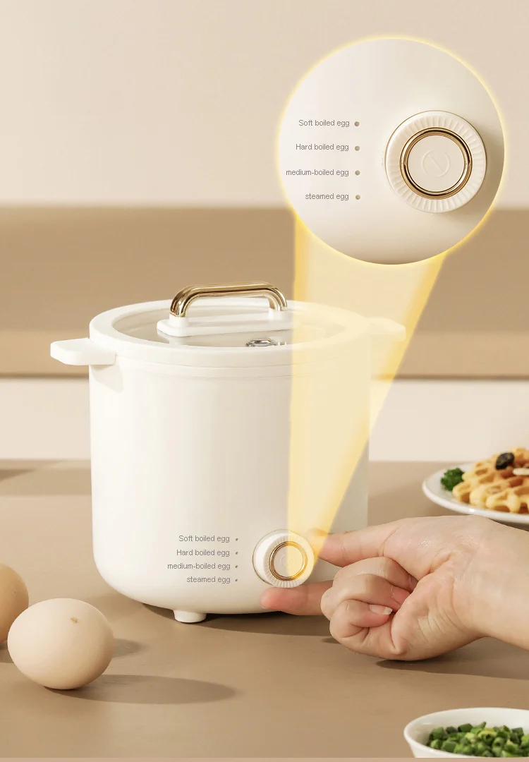 Electric Steamer Egg Cooker Automatic Mini Egg Cooker Plastic 6 Rapid Egg Boiler