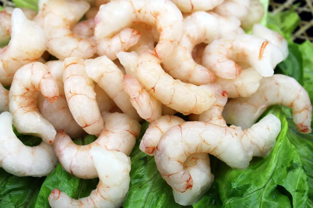 
Hot sale fresh seafood red frozen shrimps 50/70 with good price 
